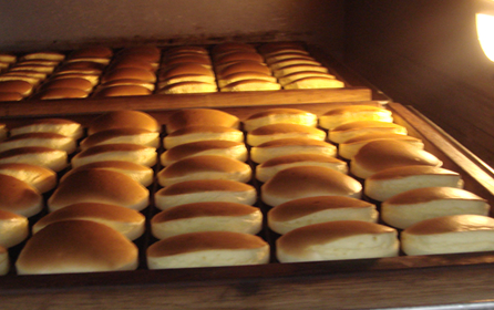 �������֤�Ĵ��